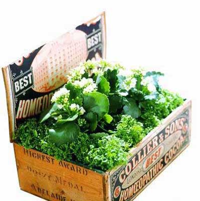 С������׃��&nbsp;ֲ���ɷ��ø�׃�Ҿ�