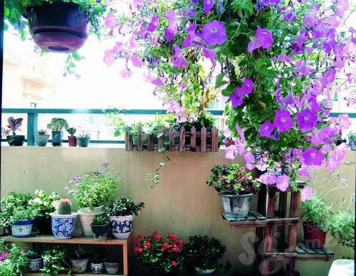 С������׃��&nbsp;ֲ���ɷ��ø�׃�Ҿ�