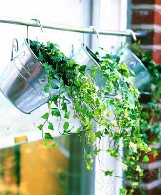 С������׃��&nbsp;ֲ���ɷ��ø�׃�Ҿ�