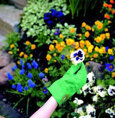 С������׃��&nbsp;ֲ���ɷ��ø�׃�Ҿ�