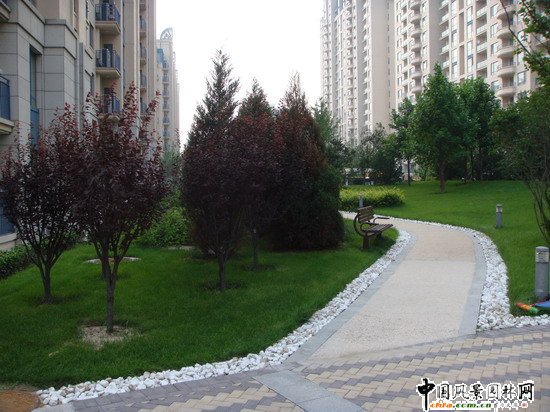 2008������|����֮���ɇ��H�@H�^�@�־��^����