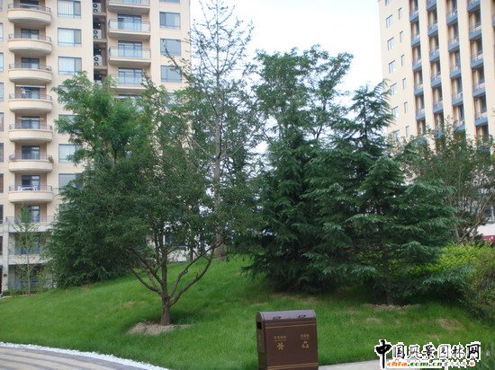 2008���(hu��)��(y��u)�|(zh��)����֮��(l��)�ɇ�(gu��)�H�@H�^(q��)�@�־��^����