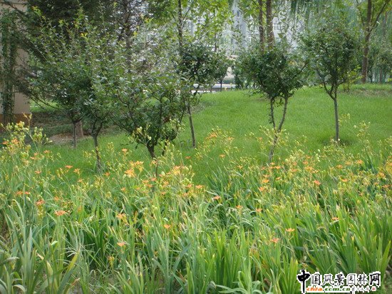 2008������|����֮���ɇ��H�@H�^�@�־��^����