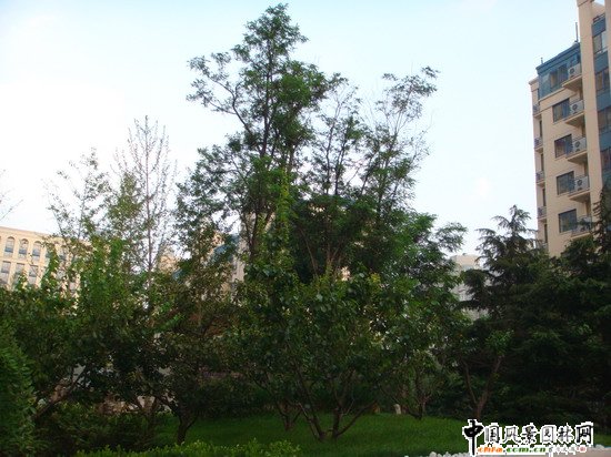 2008������|����֮���ɇ��H�@H�^�@�־��^����