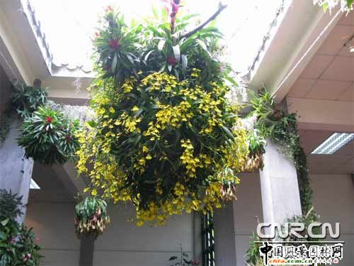 ��15�ÏV�݈@�ֲ��[��(hu��) �����`��������(�M�D)