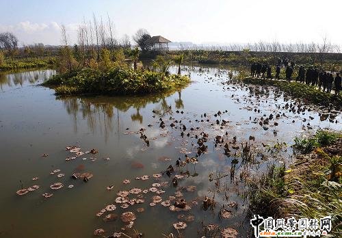 ����ʡ�e�O��ʩ��؝�ؽ��O(�M�D)