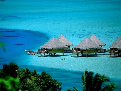 �R���������{ɫ��ţ���︡��