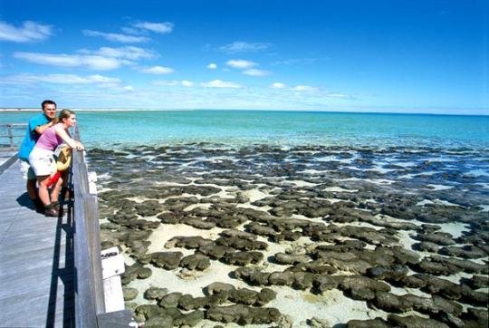 �c���g�[��һ��