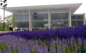 �c�����´��ڞg�[�DƬ