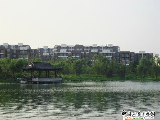 2008�����(y��u)�|(zh��)����֮���d�^(q��)�f�m�(zh��n)���d����Ұ���@