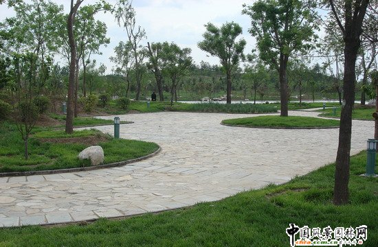 2008������|����֮���d�^�f�m����d����Ұ���@