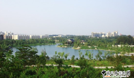 2008������|����֮���d�^�f�m����d����Ұ���@