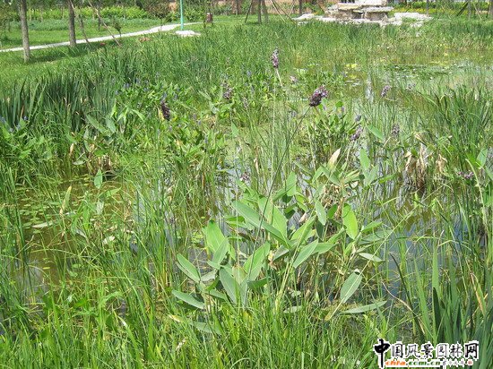 2008���(hu��)��(y��u)�|(zh��)����֮���d�^(q��)�f�m�(zh��n)���d����Ұ���@