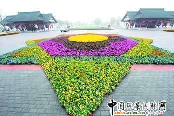 �Lɳ���B���޷��ݳ�¶(�M�D)