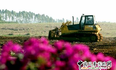 տ��������ȫ�����Ꭷ�����Ј�