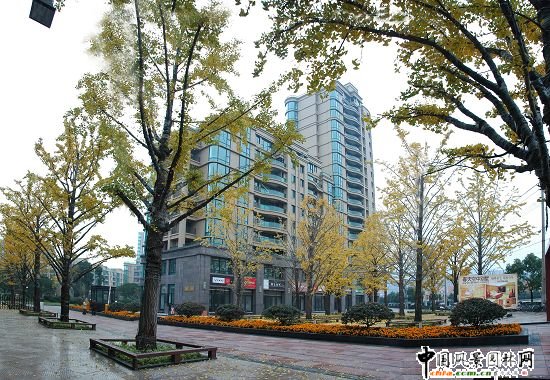 ����y�Ә��