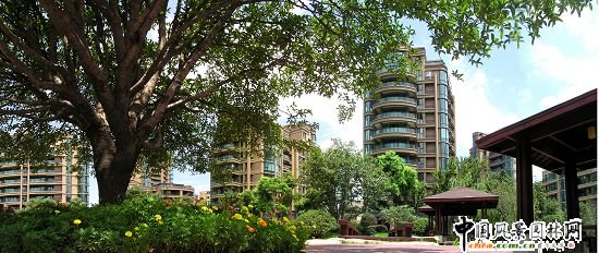 �����h��