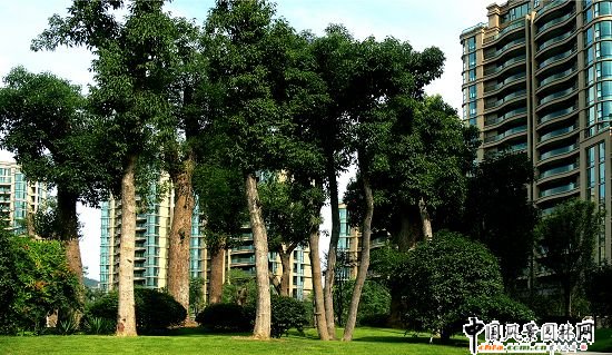 ������(sh��)��