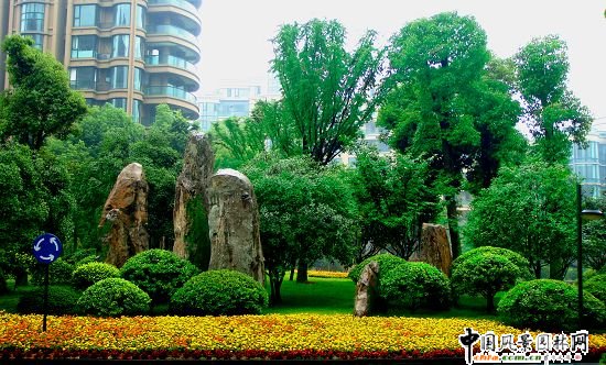 ����ڌ���