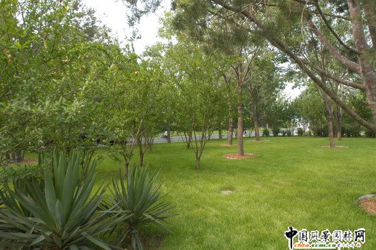 2008���(hu��)��Ʒ����֮��(gu��)�Ҵ�Ժ�����h(hu��n)���G������