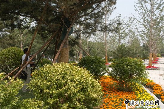 2008�����Ʒ����֮���Ҵ�Ժ�����h(hu��n)���G������