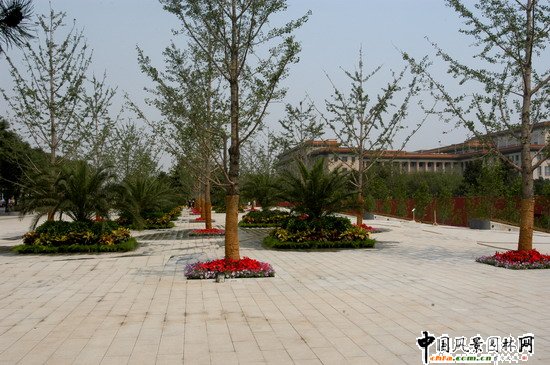 2008�����Ʒ����֮���Ҵ�Ժ�����h���G������