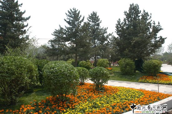 2008���(hu��)��Ʒ����֮��(gu��)�Ҵ�Ժ�����h(hu��n)���G������