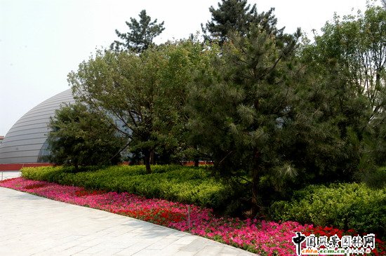 2008�����Ʒ����֮���Ҵ�Ժ�����h(hu��n)���G������