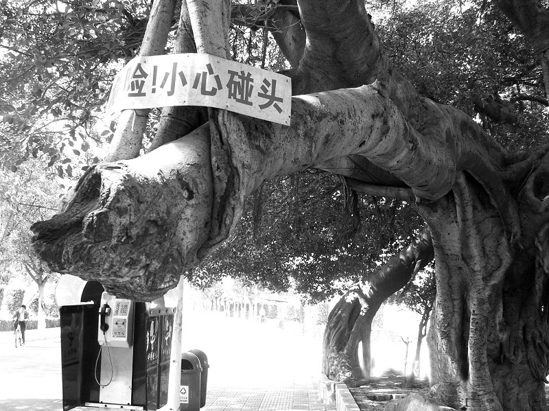 �������Ř�