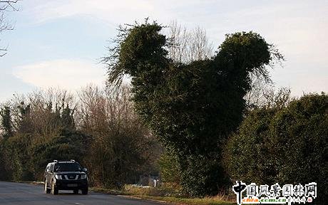 ��Ȥ��Ӣ���L��С�u�Π�Ę�(�D)