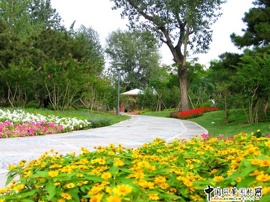 ������G�صر����ܷNֲ