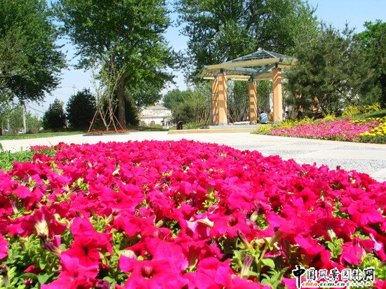 ������G������ͤ