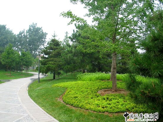 ������G��·��ֲ�ﾰ�^