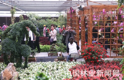 ��Ⱥ�Y꠵����ڈ@�Ȍ���