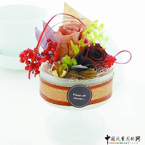 ���˹���ˇ���p(�M�D)