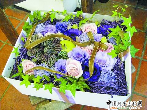 ���˹���ˇ���p(�M�D)