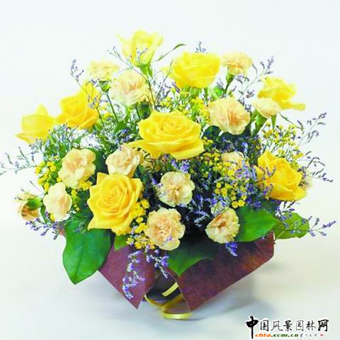 ���˹���ˇ���p(�M�D)