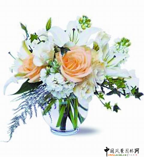 ���˹���ˇ���p(�M�D)