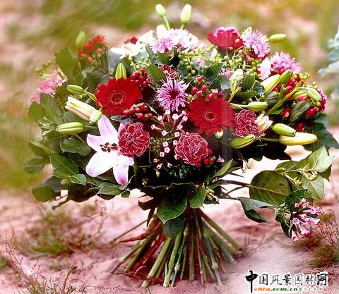 ���˹���ˇ���p(�M�D)