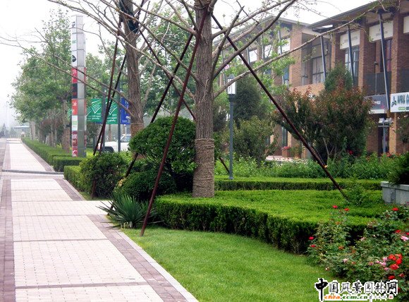 �����e���̘I(y��)�־��^�����̘I(y��)�ֵ�·