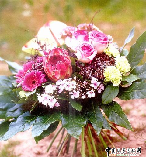 ���˹���ˇ���p(�M�D)