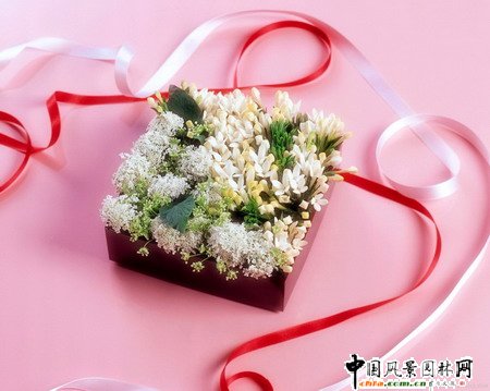 ���˹���ˇ���p(�M�D)