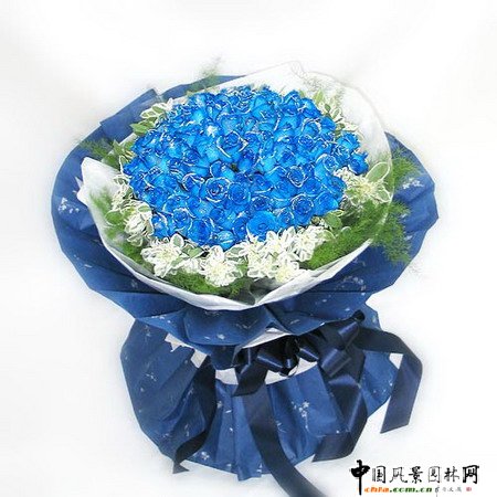 ���˹�(ji��)��ˇ���p(�M�D)