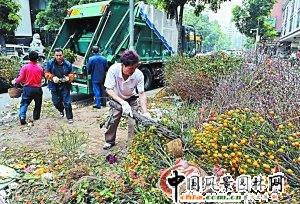 �V�ݹ����r���G�� æ�ĭh�l����