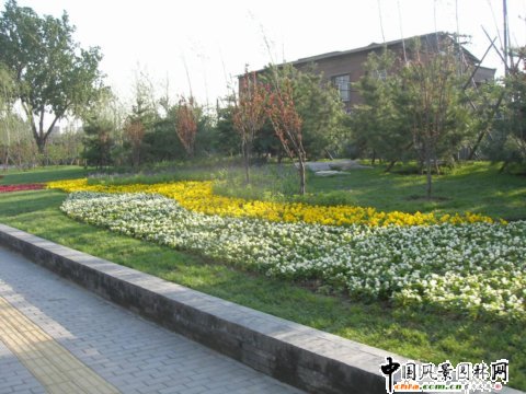 ���пڹ���