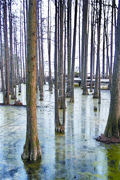 �c������D