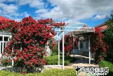 �����Ј@�ֿƌW�о�������Ƽ��ɹ�չʾ(�M�D)