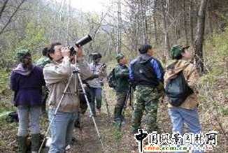 �ږ|�`ɽ-�ٻ�ɽ�L�����م^(q��)�_չ�о�