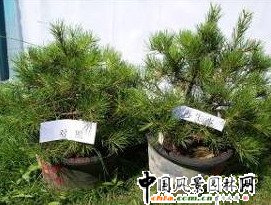 �ԁ�ˮ��ȵČ���ԇ�(y��n)