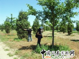 �����ˆT�ڹ��@�M���{��